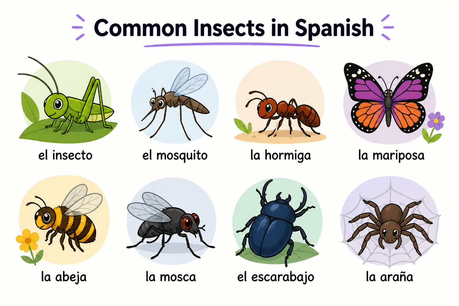 Illustrated bug vocabulary sheet with common insects labeled in Spanish and English