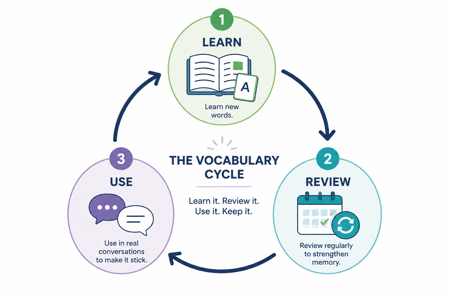 Diagram of a vocabulary learning cycle: learn, review, use, and repeat.