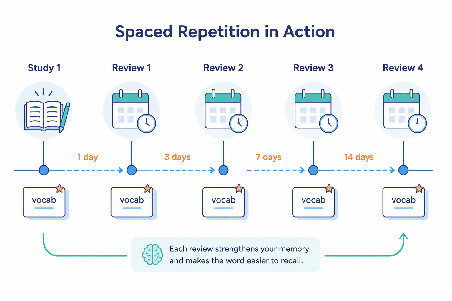 Timeline showing vocabulary review intervals getting longer over time