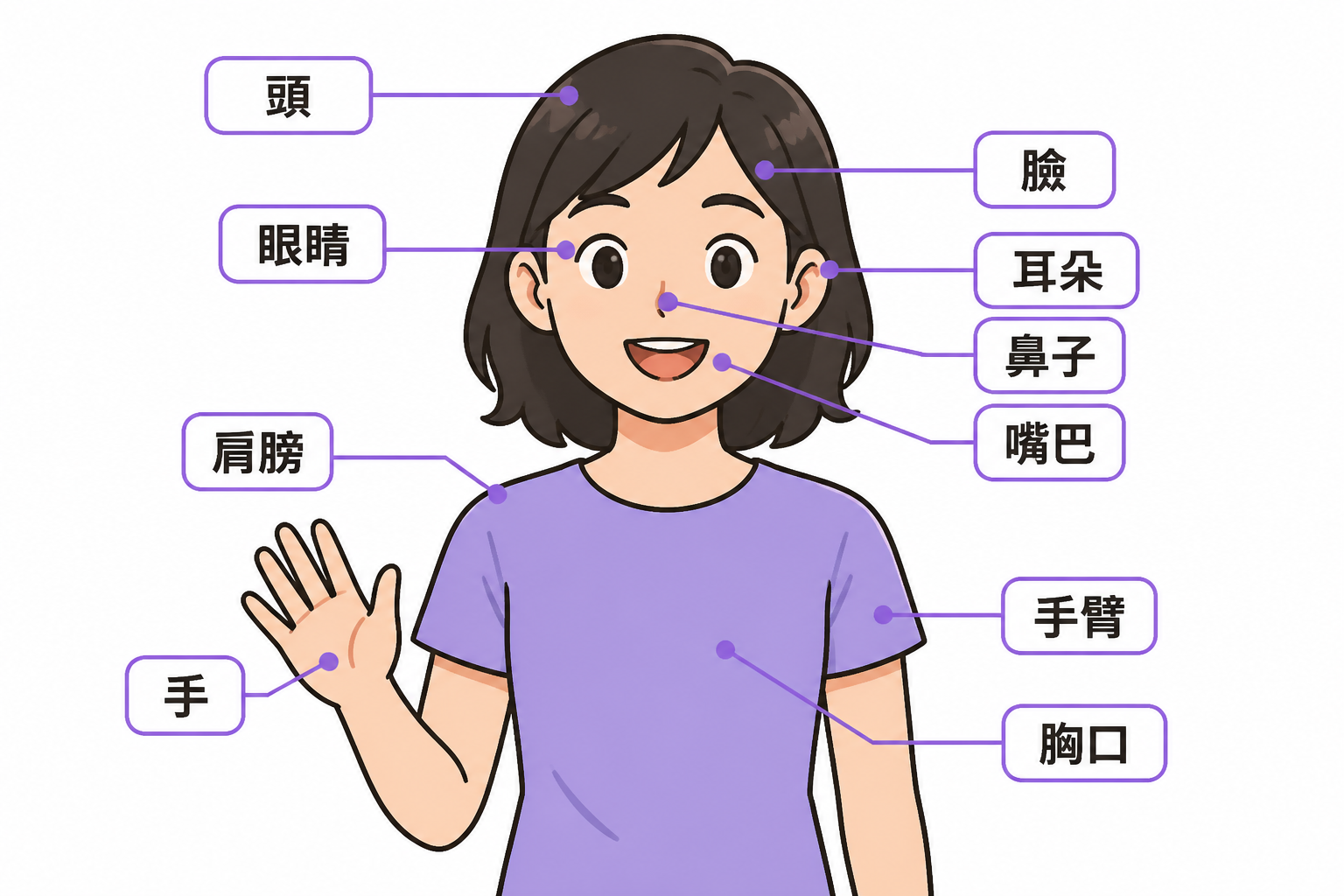 Labeled diagram of the face and upper body parts in Traditional Chinese