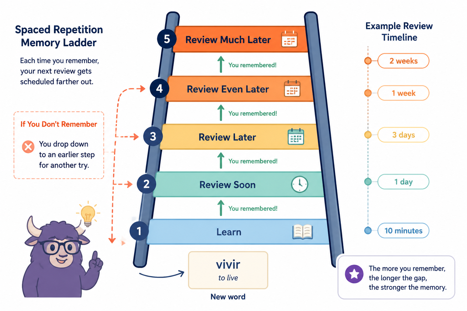 Memory ladder showing spaced review intervals