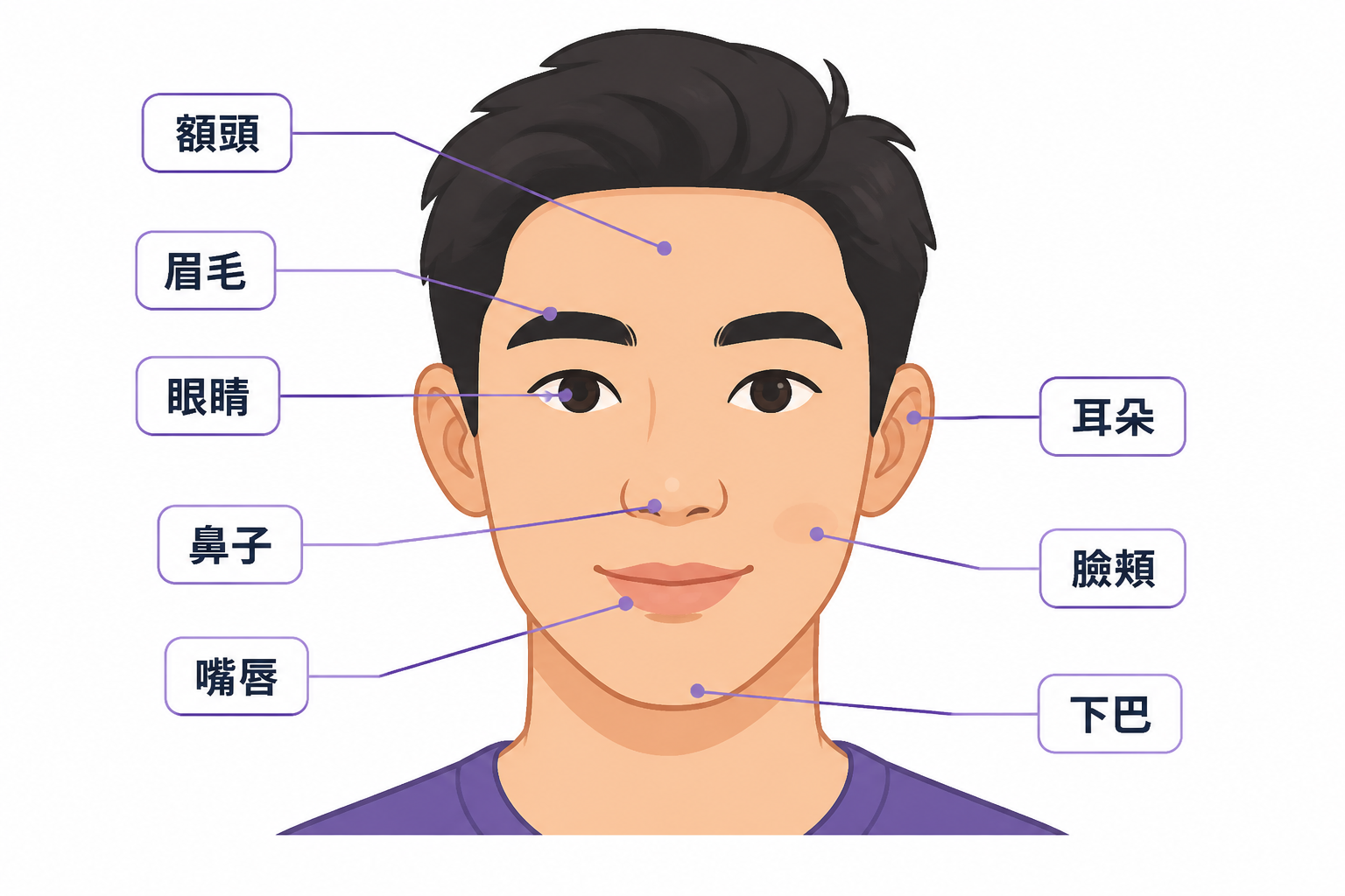 Illustration of a face with labeled features in Traditional Chinese