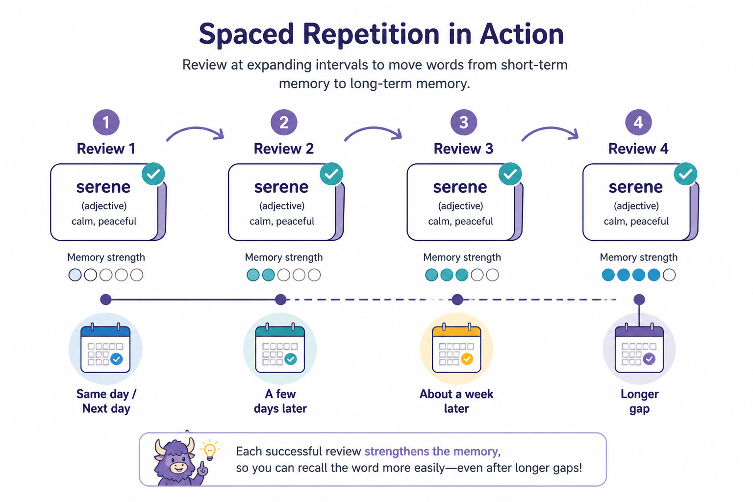 A four-step spaced repetition review cycle with growing time gaps